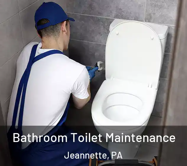  Bathroom Toilet Maintenance Jeannette, PA