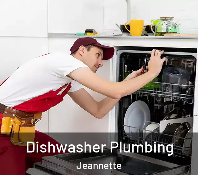  Dishwasher Plumbing Jeannette