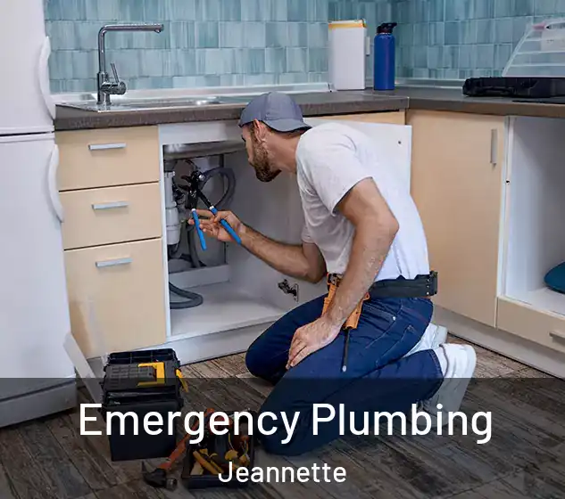  Emergency Plumbing Jeannette