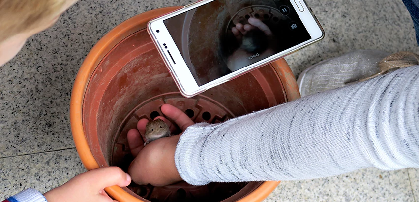 Scope of Drain Camera Inspection Services in Jeannette, PA