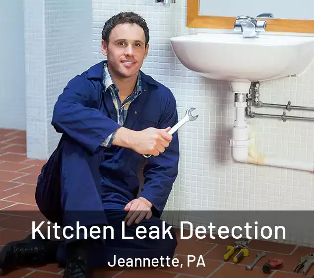  Kitchen Leak Detection Jeannette, PA