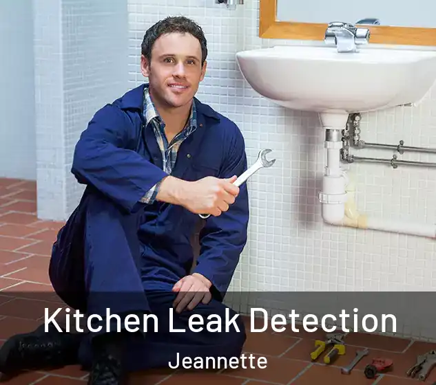  Kitchen Leak Detection Jeannette