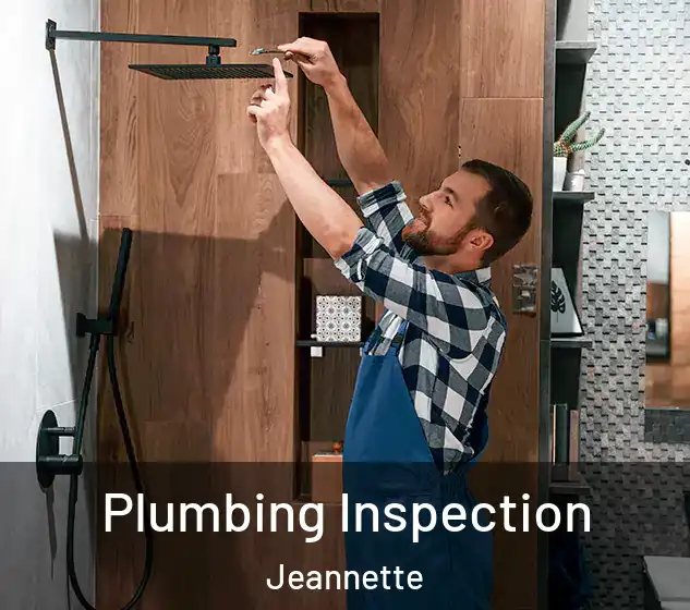  Plumbing Inspection Jeannette