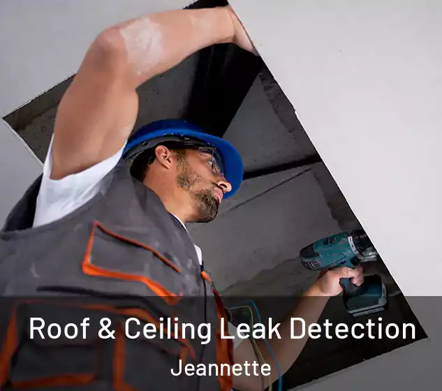  Roof & Ceiling Leak Detection Jeannette