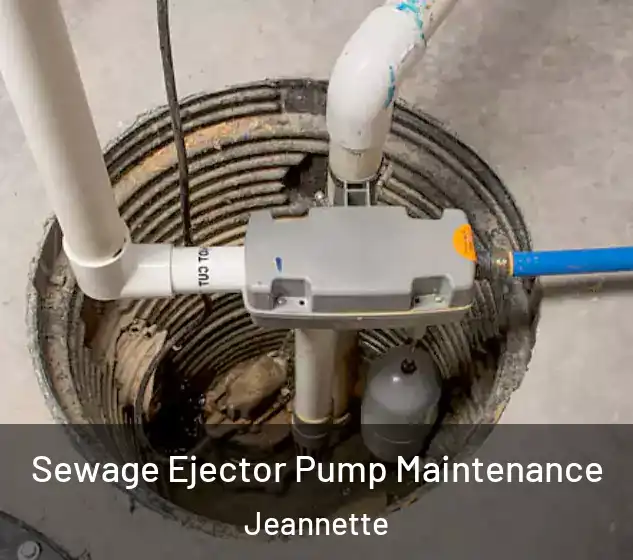  Sewage Ejector Pump Maintenance Jeannette