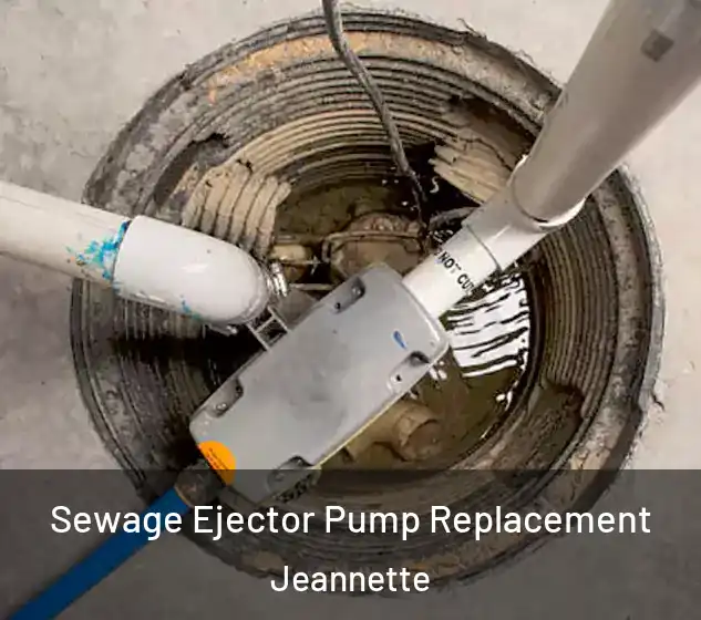  Sewage Ejector Pump Replacement Jeannette