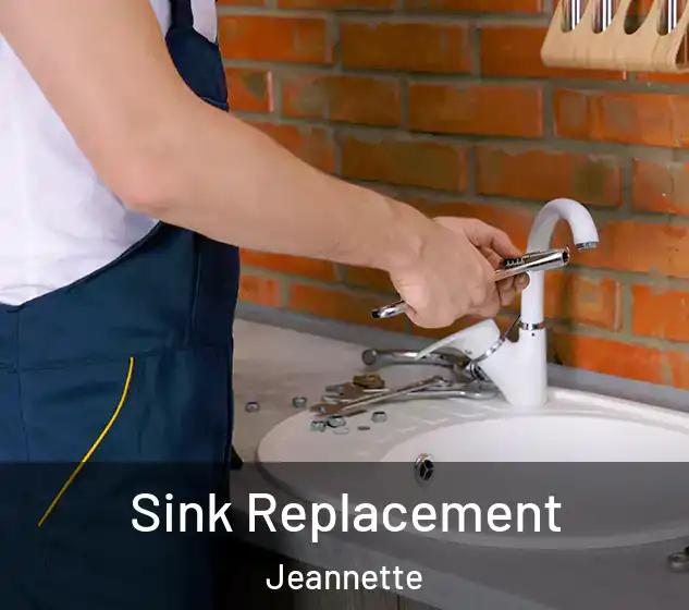  Sink Replacement Jeannette
