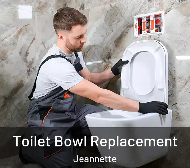  Toilet Bowl Replacement Jeannette