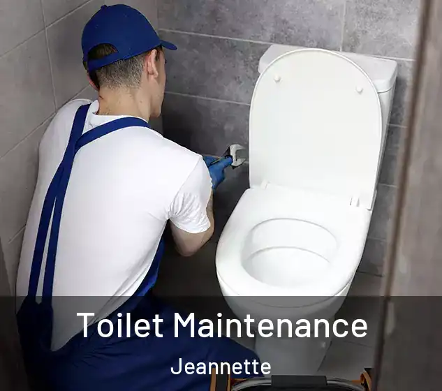  Toilet Maintenance Jeannette