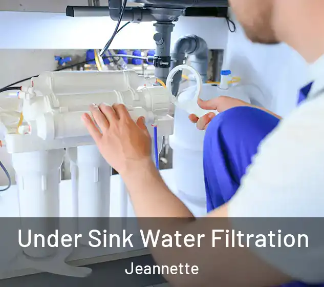  Under Sink Water Filtration Jeannette