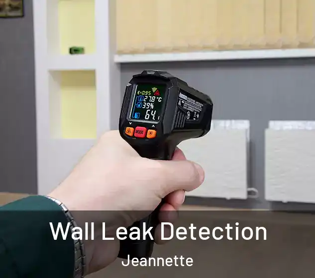  Wall Leak Detection Jeannette