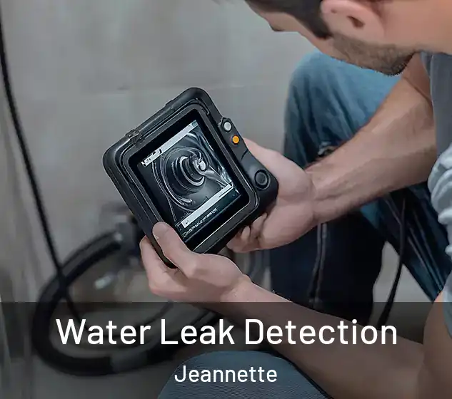  Water Leak Detection Jeannette