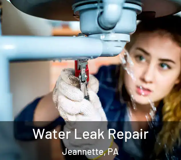  Water Leak Repair Jeannette, PA