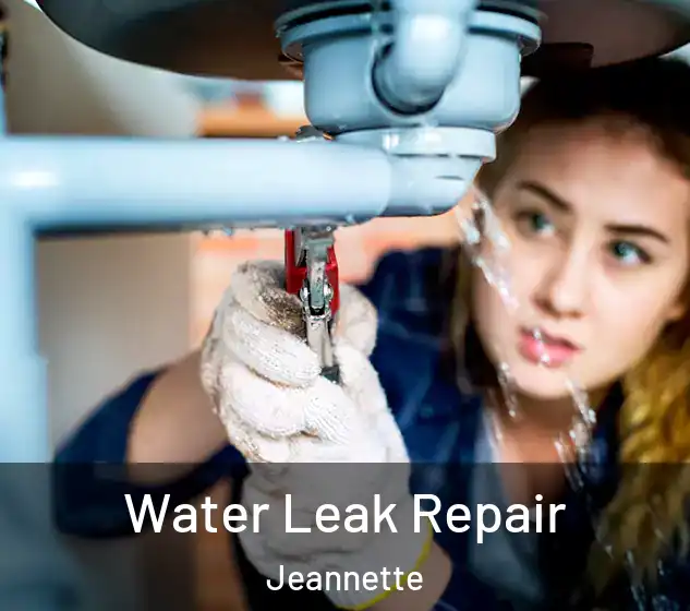  Water Leak Repair Jeannette