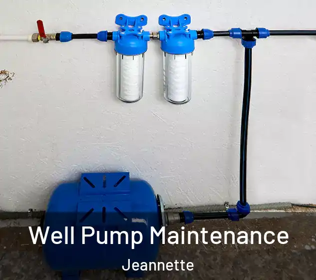  Well Pump Maintenance Jeannette